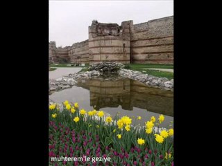 Uluslararası Barış Parkı