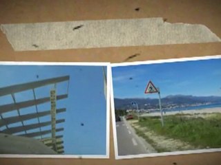 les photos du jour