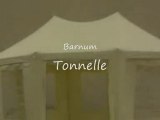 Barnum Tonelle - Tente de Réception et Festivités - Auvent - 8 côtés 5 x 6,80