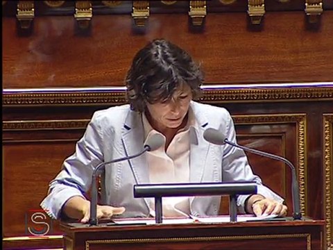 Dissimulation du visage et LOPPSI 2 - Interventions de Virginie KLES - Septembre 2010