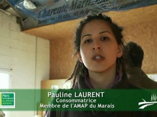 Création de 2 AMAP dans le Marais poitevin