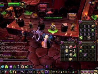 Mamytwink #14  Dromadaire, Auctionlite et communauté