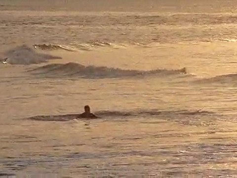 20110405 Bart Lohi's Endless Summer Maldives