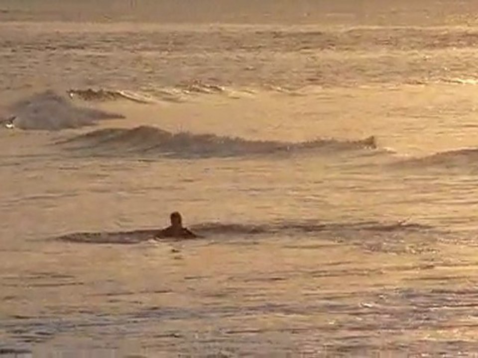 20110405 Bart Lohi's Endless Summer Maldives