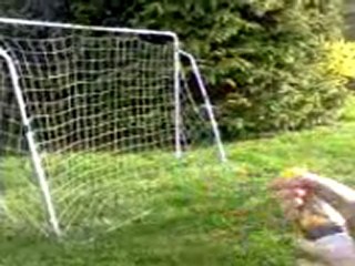 mentos+cola= du fun (1)