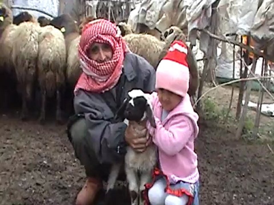 Hakkari'de Hayvan 'küpeleme' çalışmaları