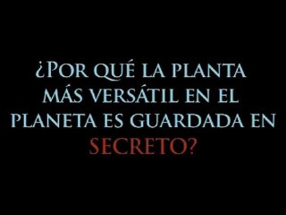 Que es Versativa de Forevergreen