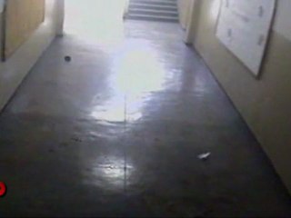 Security Camera Captures Brazil Students, Gunman