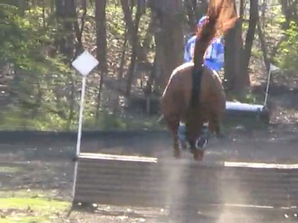 Cross 1 Lola CCE Cl2 20/03/11 La Courneuve