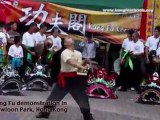 Kung Fu Demonstration in Kowloon Park, Hong Kong [clipnabber.com]