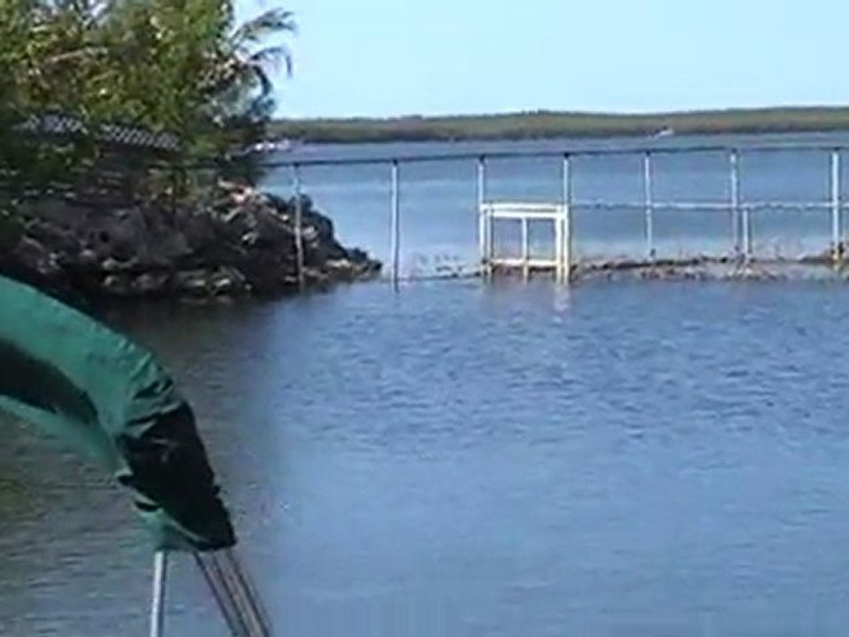 TRISTE VIE POUR LES DAUPHINS CAPTIFS !!!