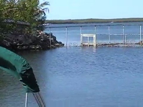 TRISTE VIE POUR LES DAUPHINS CAPTIFS !!!