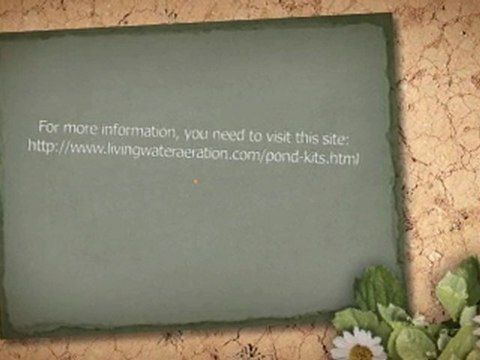 Pond Kits The Principle Element For Constructing Water Ponds