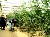 Israel Cultivates Desert Agriculture
