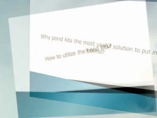 Water Pond Kits Are The Best Solution To Put In A Water Pond