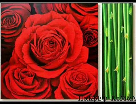 Sema Fikrimin ince gülü