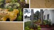 A Perfect Choice Landscaping Company/954-224-5119/Lawn/Turf