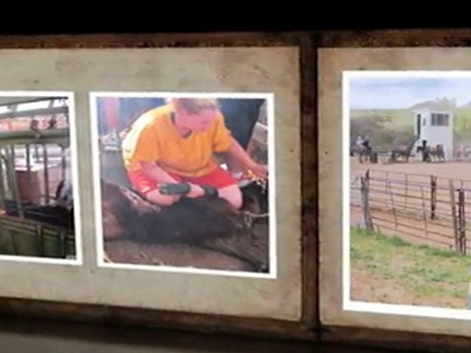 Troubled Teenagers - At-Risk Youth - Youth Programs | Tierra Blanca Ranch