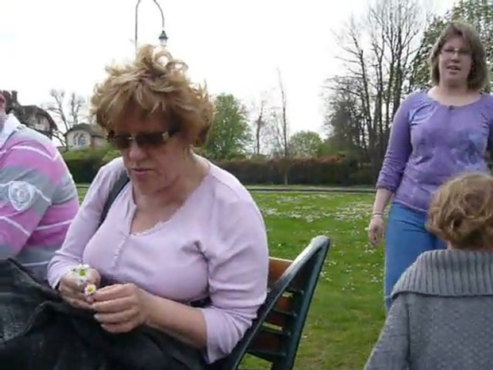 Paquerettes pour Maminou