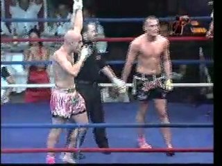 NO LIMITS 1 STAM THE SHOWMAN KING OF THE RING