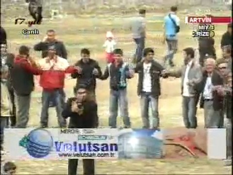 Yusufeli Sarıgöl Boğa Güreşleri 2011 Tulum Horon