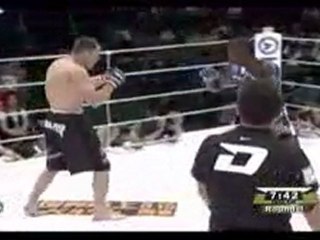 Marius Žaromskis bušido finale Japonijoj