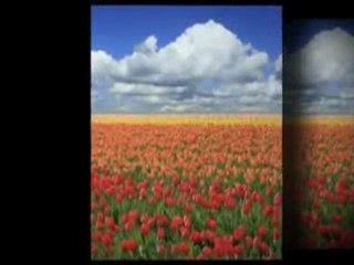 top online healthcare programs By www.onlinehealthcareprograms.net/