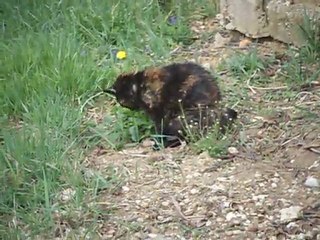 duo 1an de plus, 17 ans