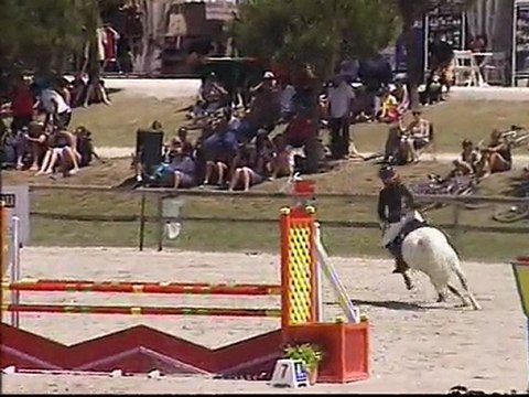 paladin lamotte 2010 final D1p