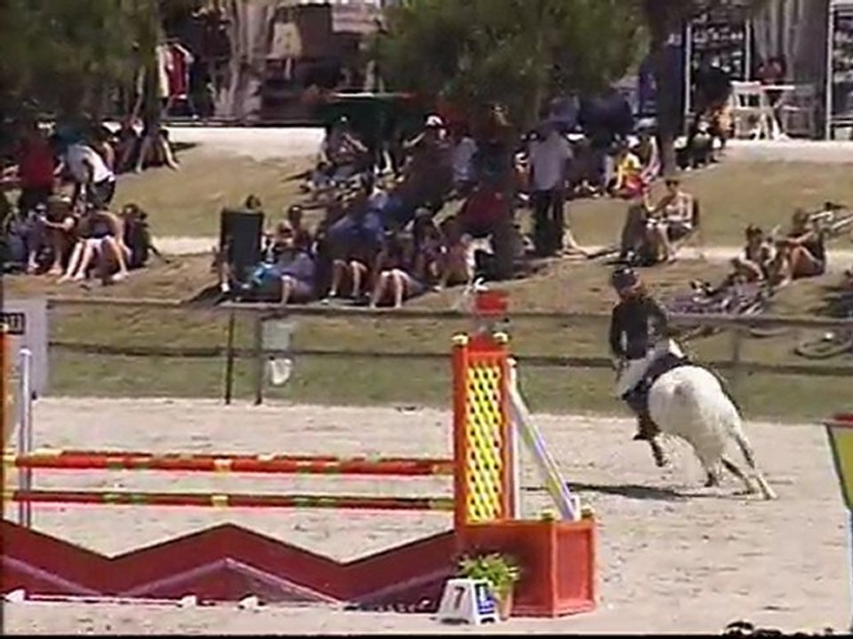 paladin lamotte 2010 final D1p