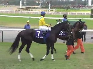 2009 天皇賞（秋） カンパニー