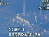 Japan tsunami wave smashes into nuclear plant