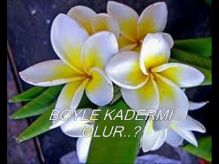 BÖYLE KADER Mİ OLUR...DURAK YİĞİT VİDEOSU