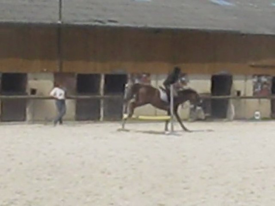 Sarah & Donato