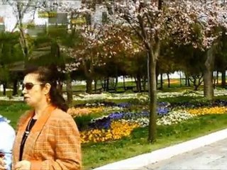 İstanbul'da Lale Zamanı