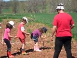 Jardin: on sème des graines de fleurs pour les abeilles et les coccinelles.