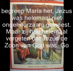 DE TWAALFJARIGE JEZUS IN DE TEMPEL - kopie