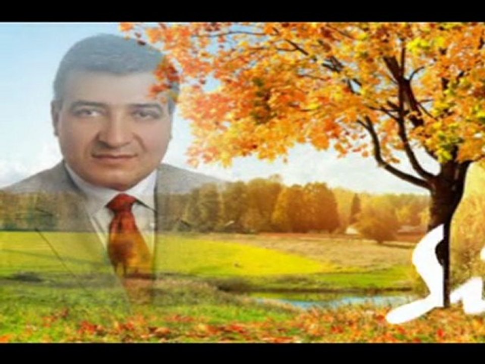 Ali Erdin_Sivasimi Ozledim