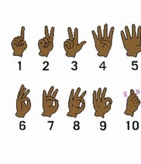 ASL Sign Language new sites