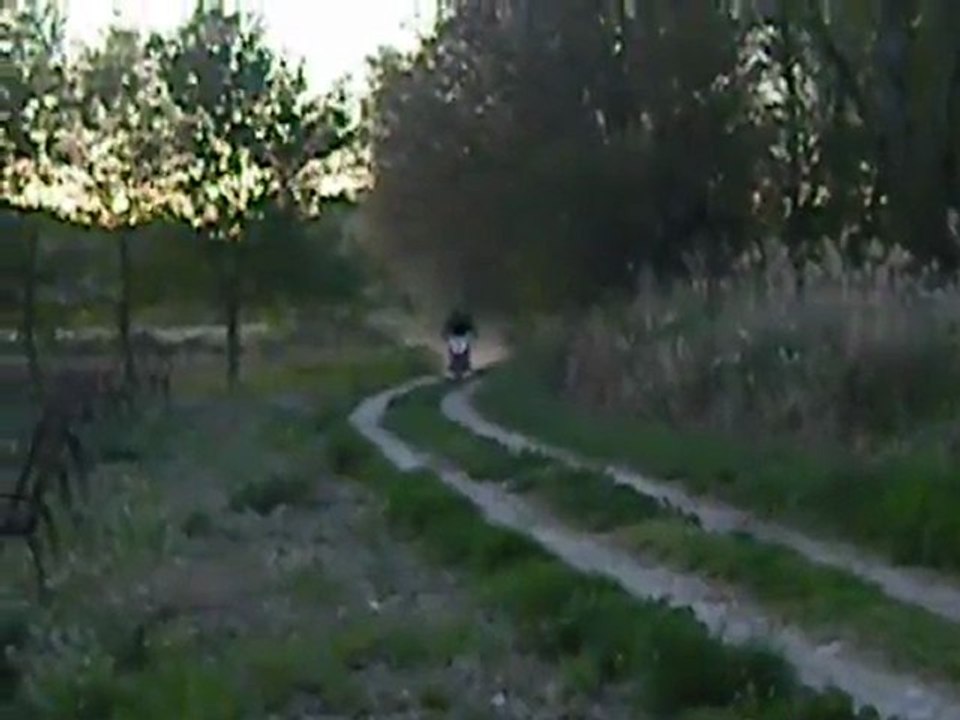 andy en test