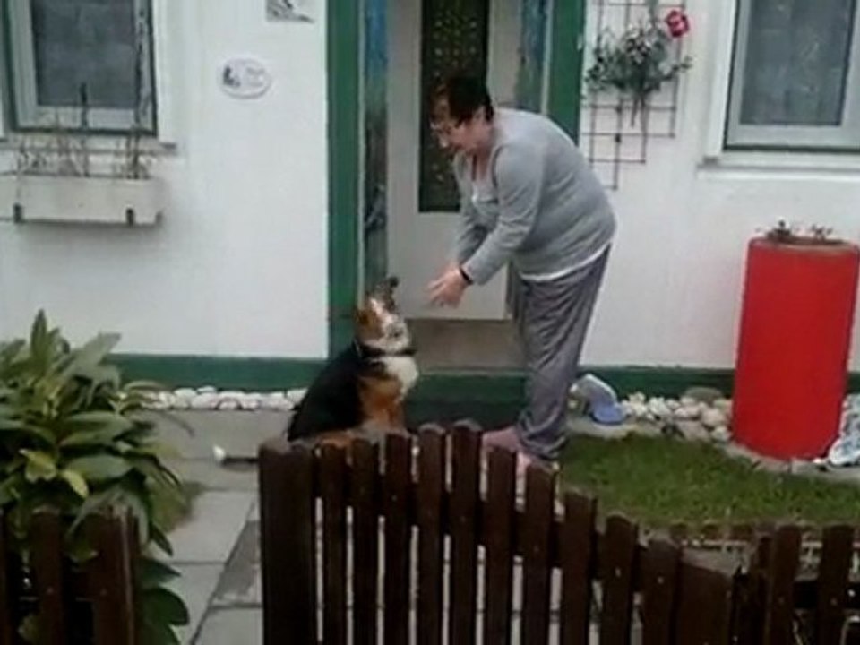 Blacky Ankunft im Camp