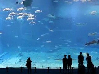 Dev Akvaryum... [HD]