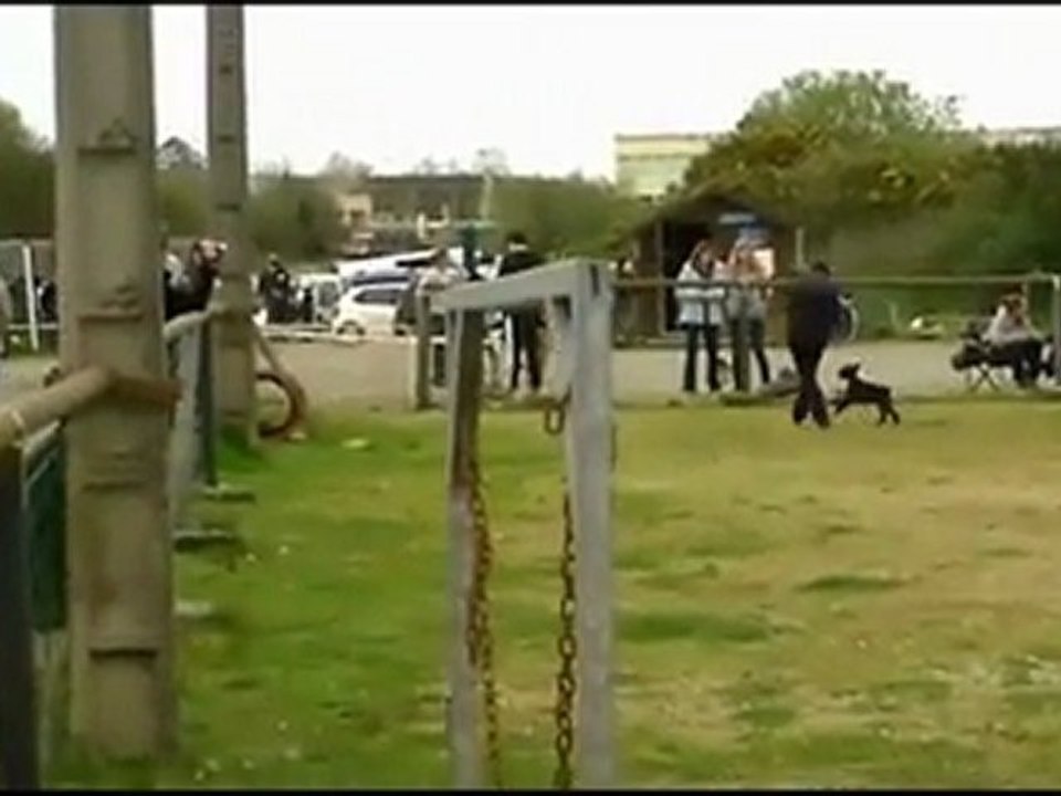 Sylvie Anouk Concours Brest 2011