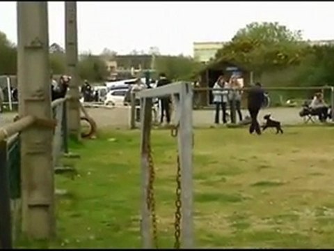 Sylvie Anouk Concours Brest 2011