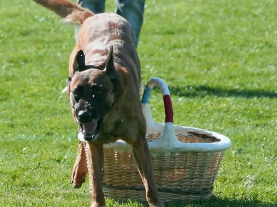 Astek - 1er sélectif 2011 du groupe 7 Jury A