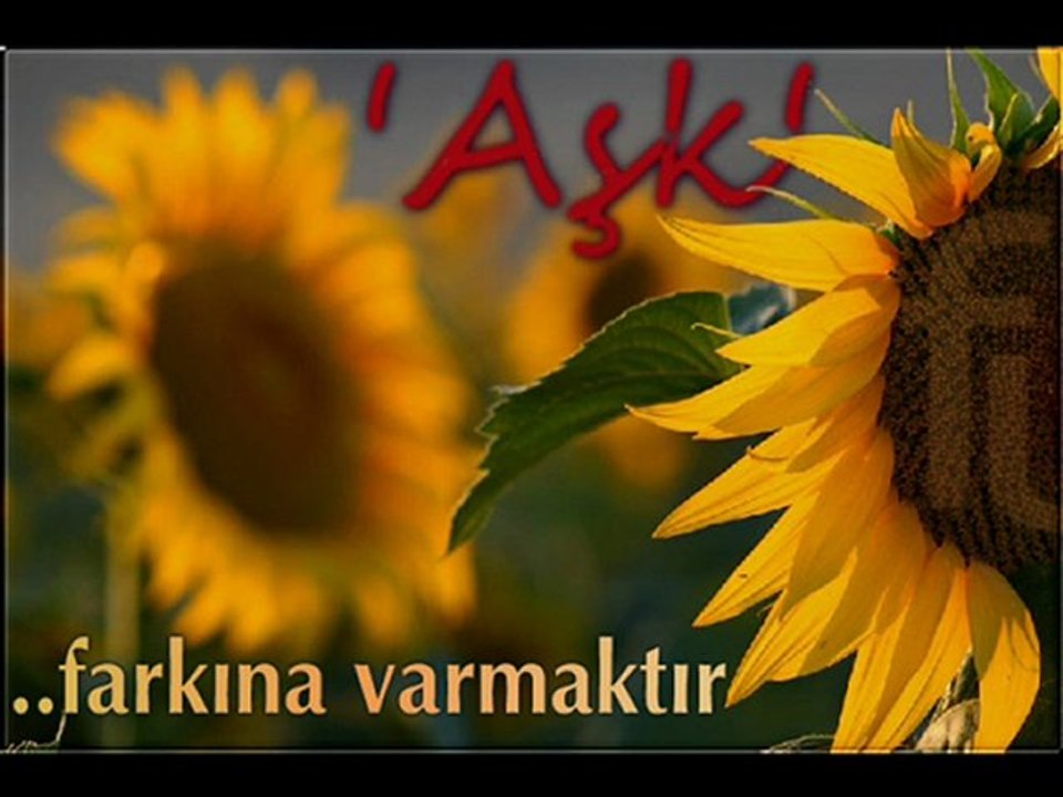 aşk neydi cesuroglu video