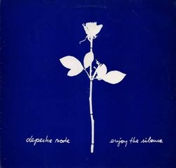 Enjoy The Silence(Depeche Mode acoustic cover)