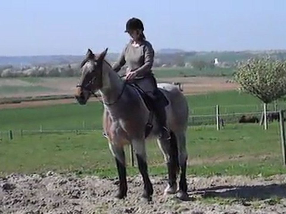 9 avril 2011 046