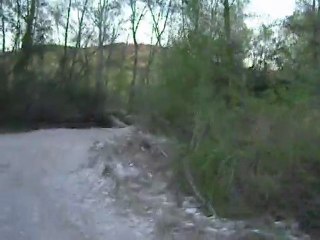 andy mode zaraffffff!! lol