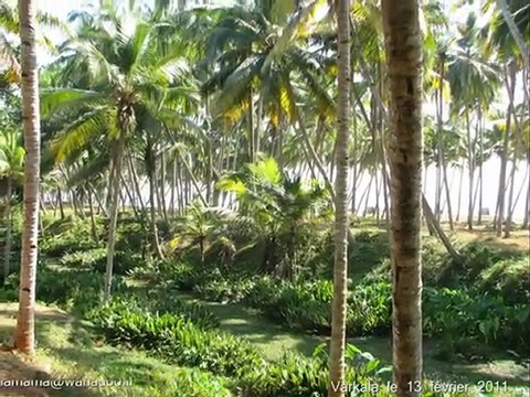 plages au sud de Varkala 1024 par 768